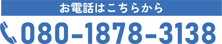080-1878-3138